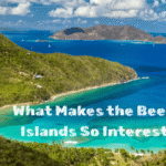 What Makes the Beevitius Islands So Interesting?